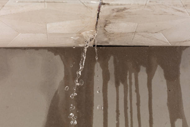 Professional Water Damage Repair technician working in Stamford, CT